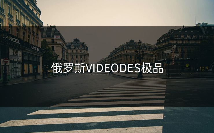 俄罗斯VIDEODES极品