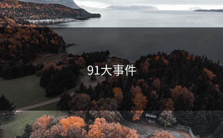 91大事件