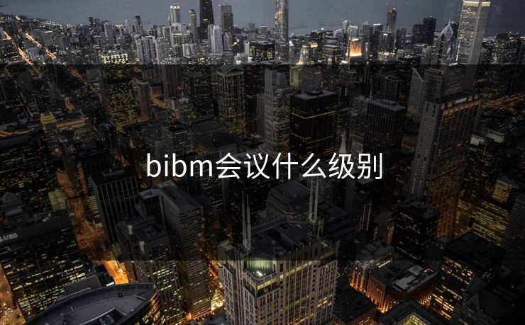 bibm会议什么级别
