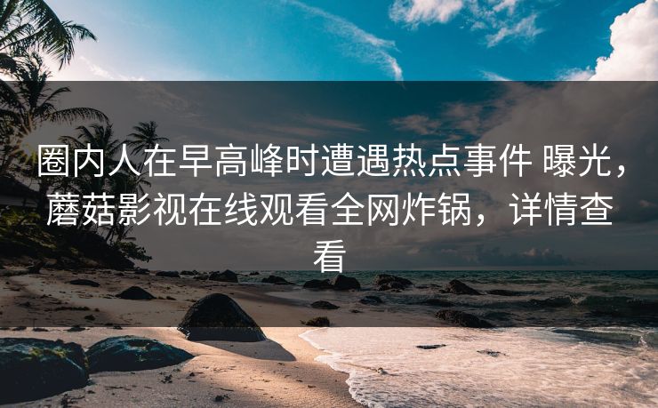 圈内人在早高峰时遭遇热点事件 曝光，蘑菇影视在线观看全网炸锅，详情查看