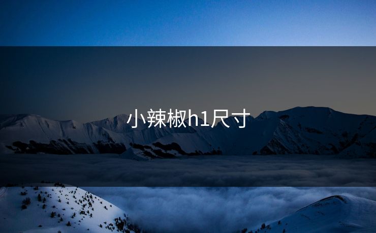 小辣椒h1尺寸