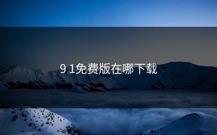 9 1免费版在哪下载