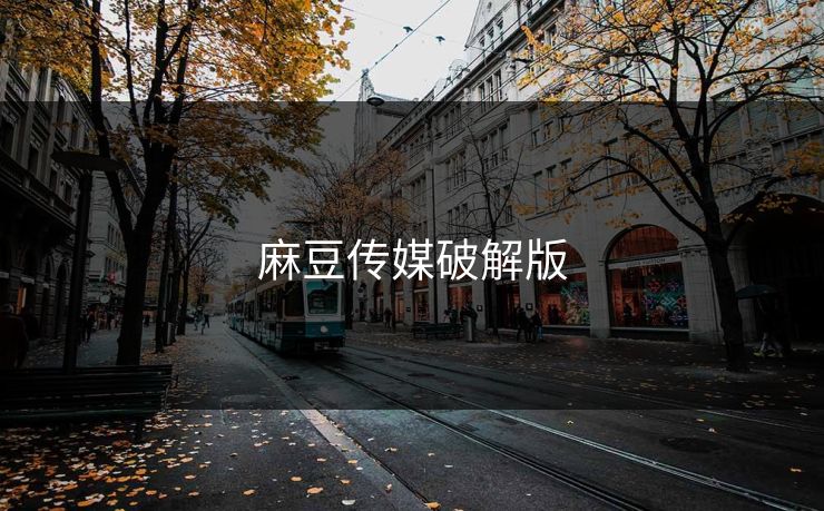 麻豆传媒破解版