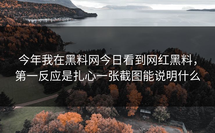 今年我在黑料网今日看到网红黑料，第一反应是扎心一张截图能说明什么
